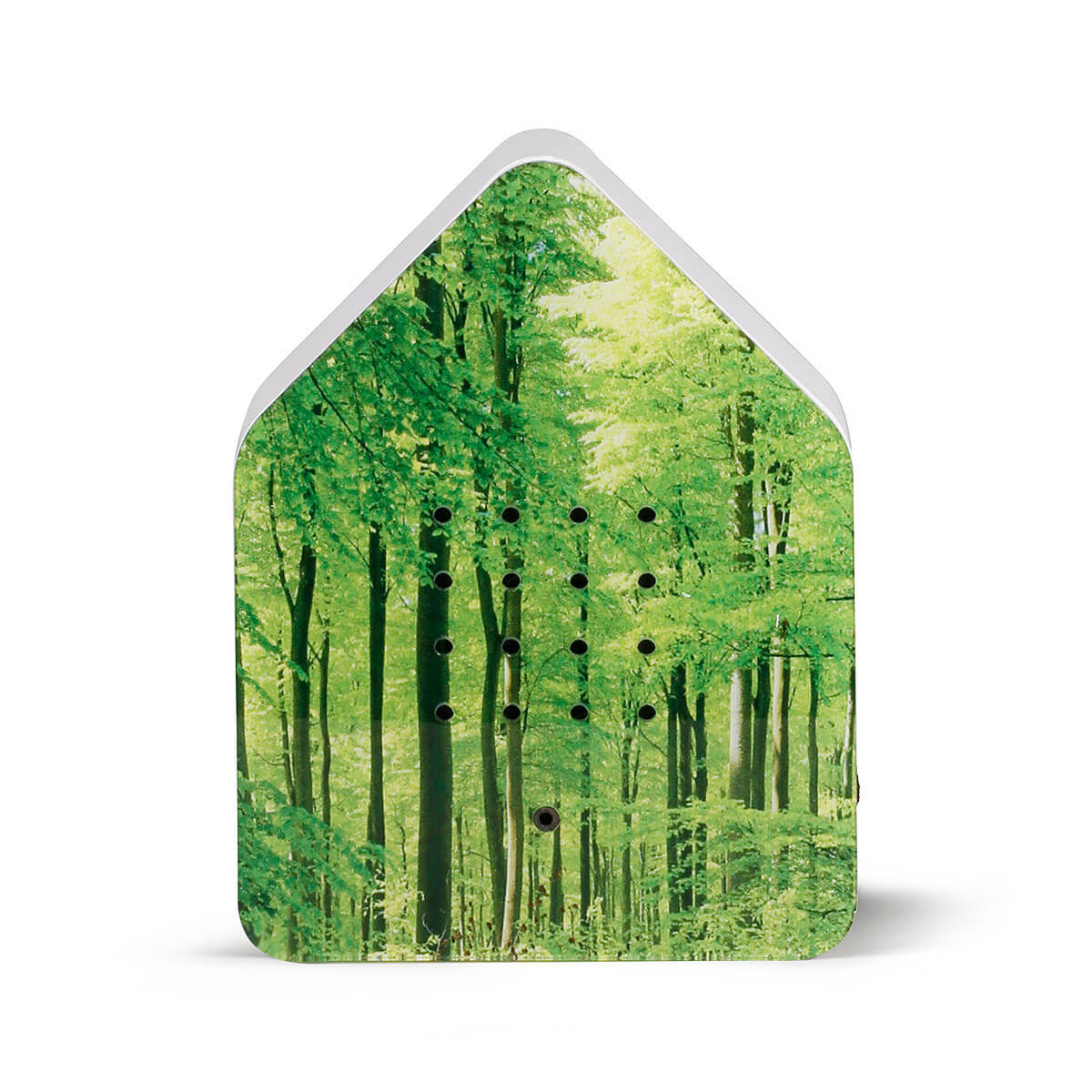 Zwitscherbox Wald Zwitscherbox Wald