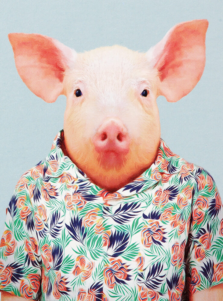 3064LAG Karte – Schweinchen