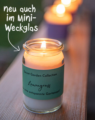 Lit candle in a small Weck jar with green label ‘Lemongrass’ and ‘Secret Garden Collection’ on wood. In the blurred background, more burning candles line up in a row. Top left: ‘now also available in a mini Weck jar’ with arrow.