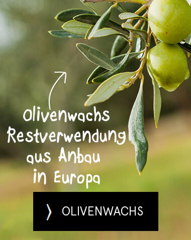 Banner Olivenwachskerzen V3