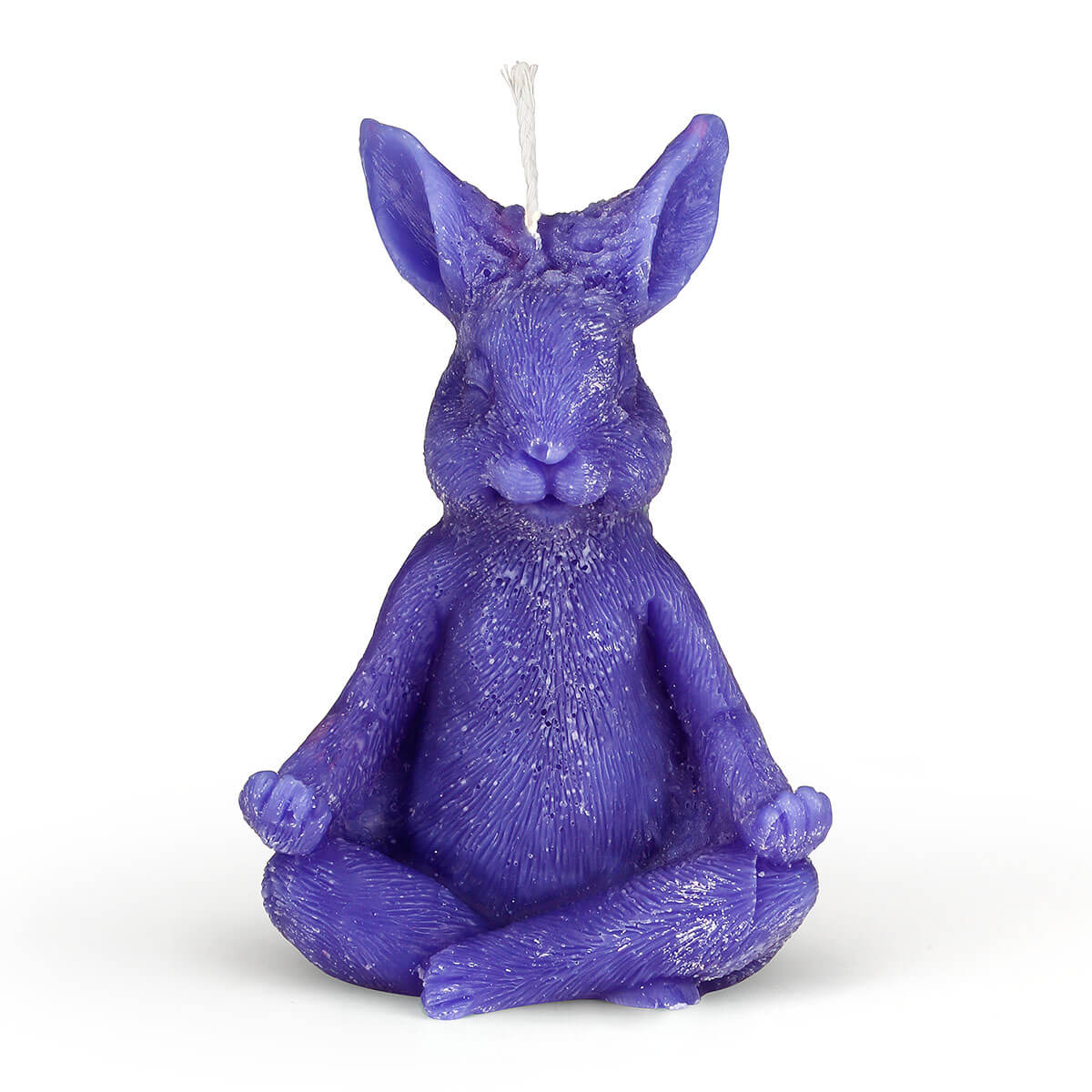 Yogahasi lila Yogahasi lila