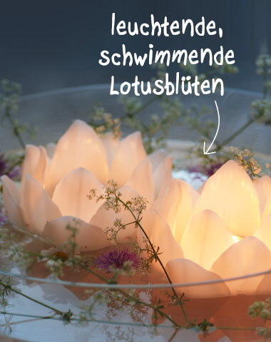 teaser_lotusblueten Banner Lotusblueten