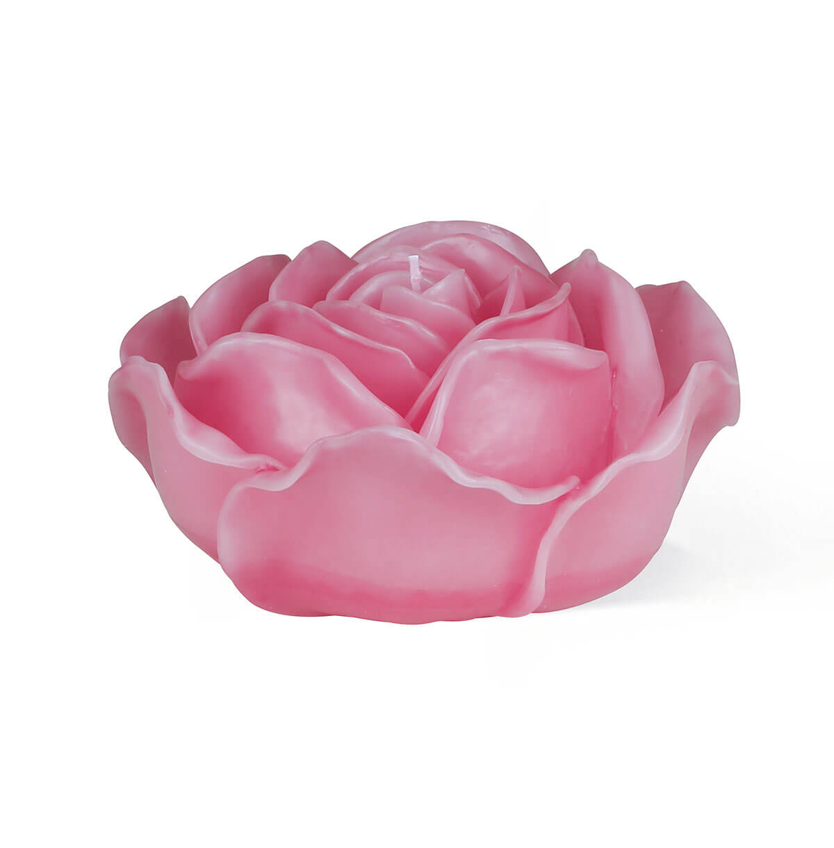Schwimmkerzen Rose dark pink Schwimmkerzen Rose dark pink