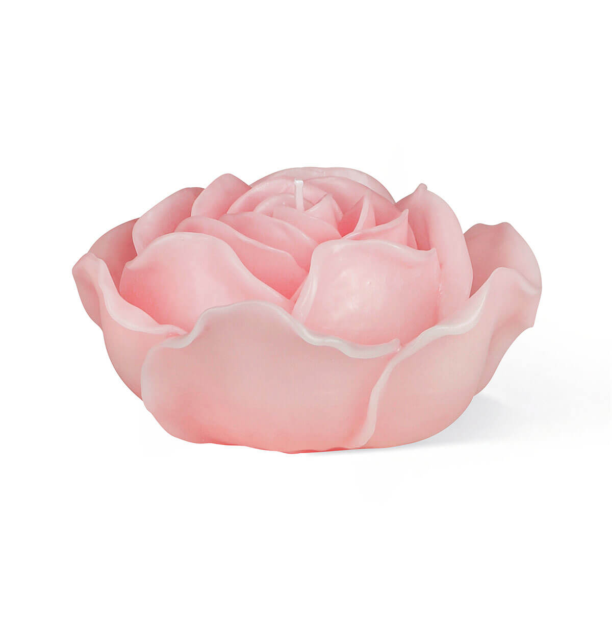 Schwimmkerzen Rose pink Schwimmkerzen Rose pink