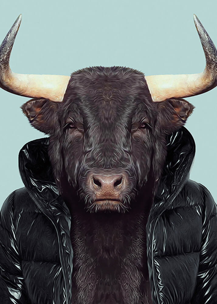 3005LAG Karte – Stier