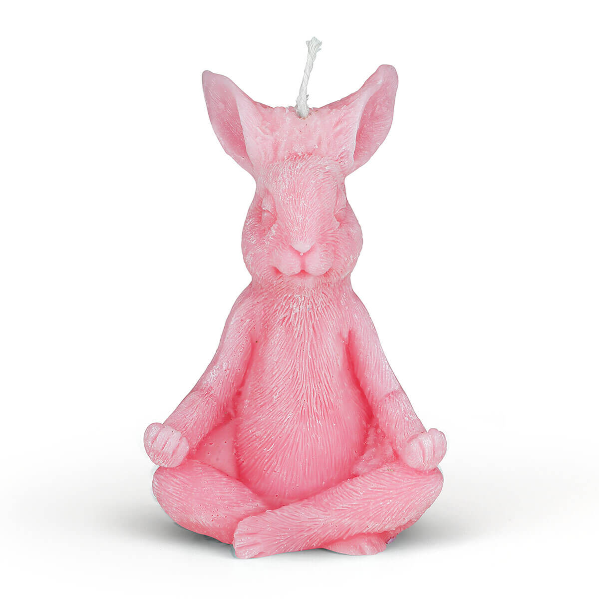 Yogahasi rosa