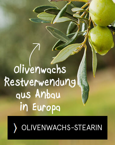 Banner Olivenwachskerzen V4