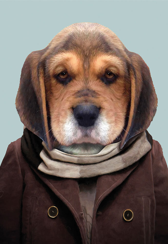 3060LAG Karte – Beagle