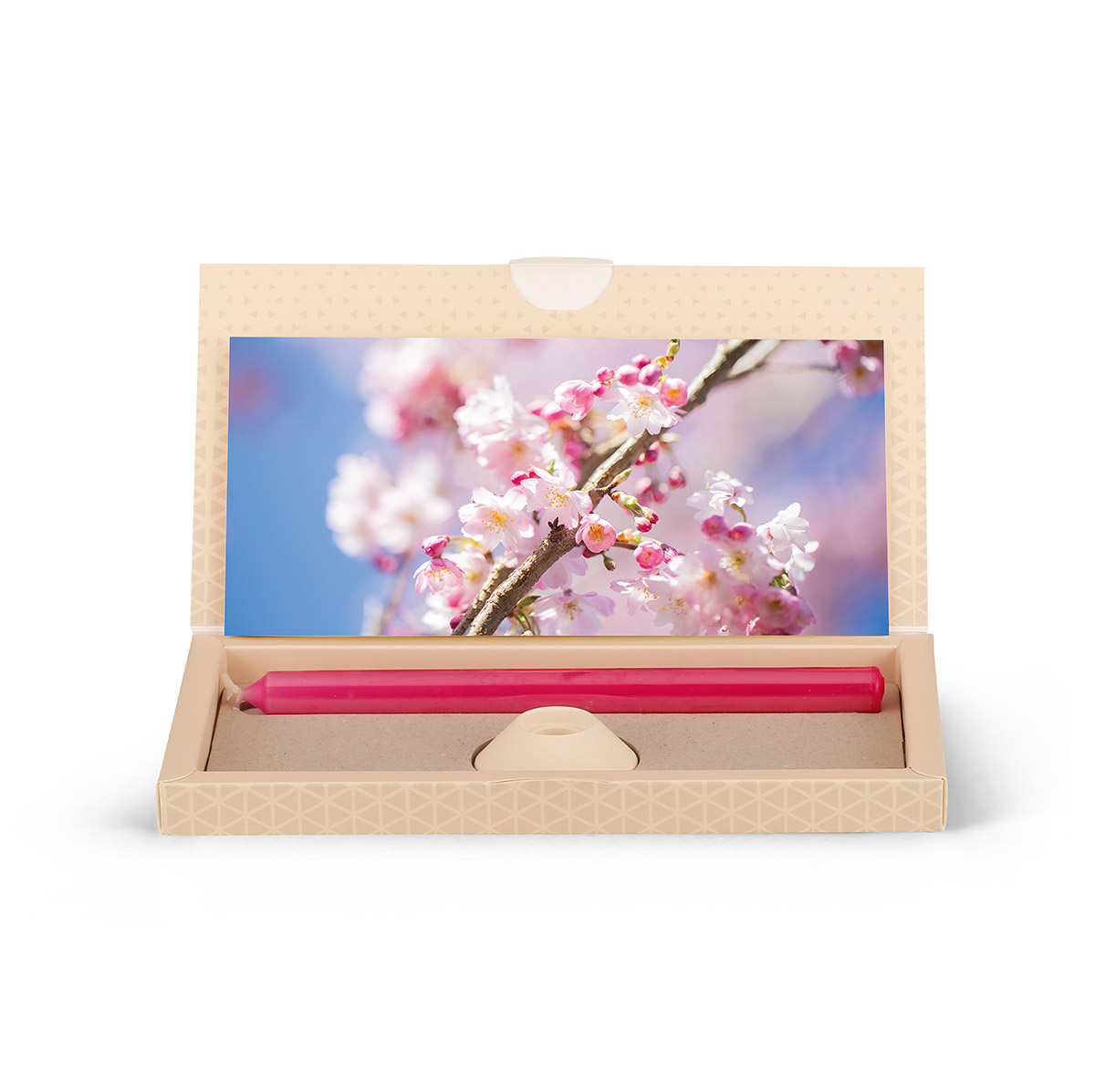 Brieflicht – Kirschblüten