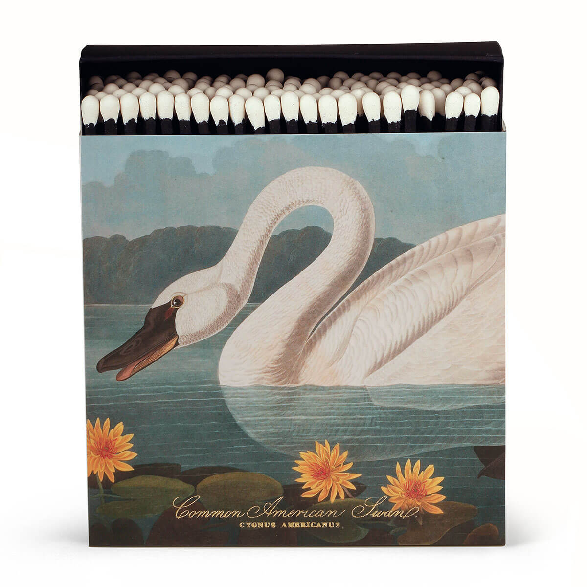 Zündhölzer XL – American Swan