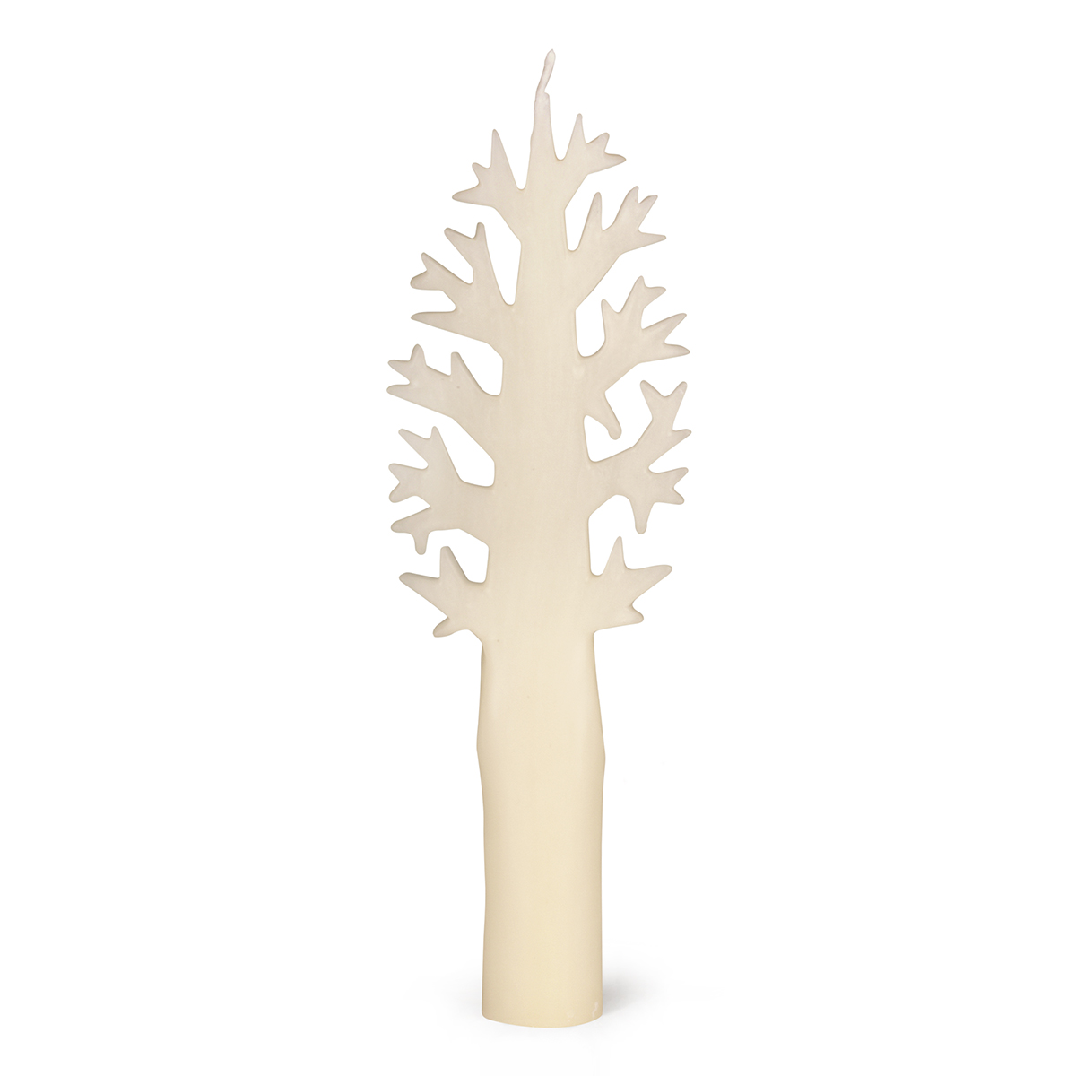 6393-00-A Alberelli Kerze - Rovere