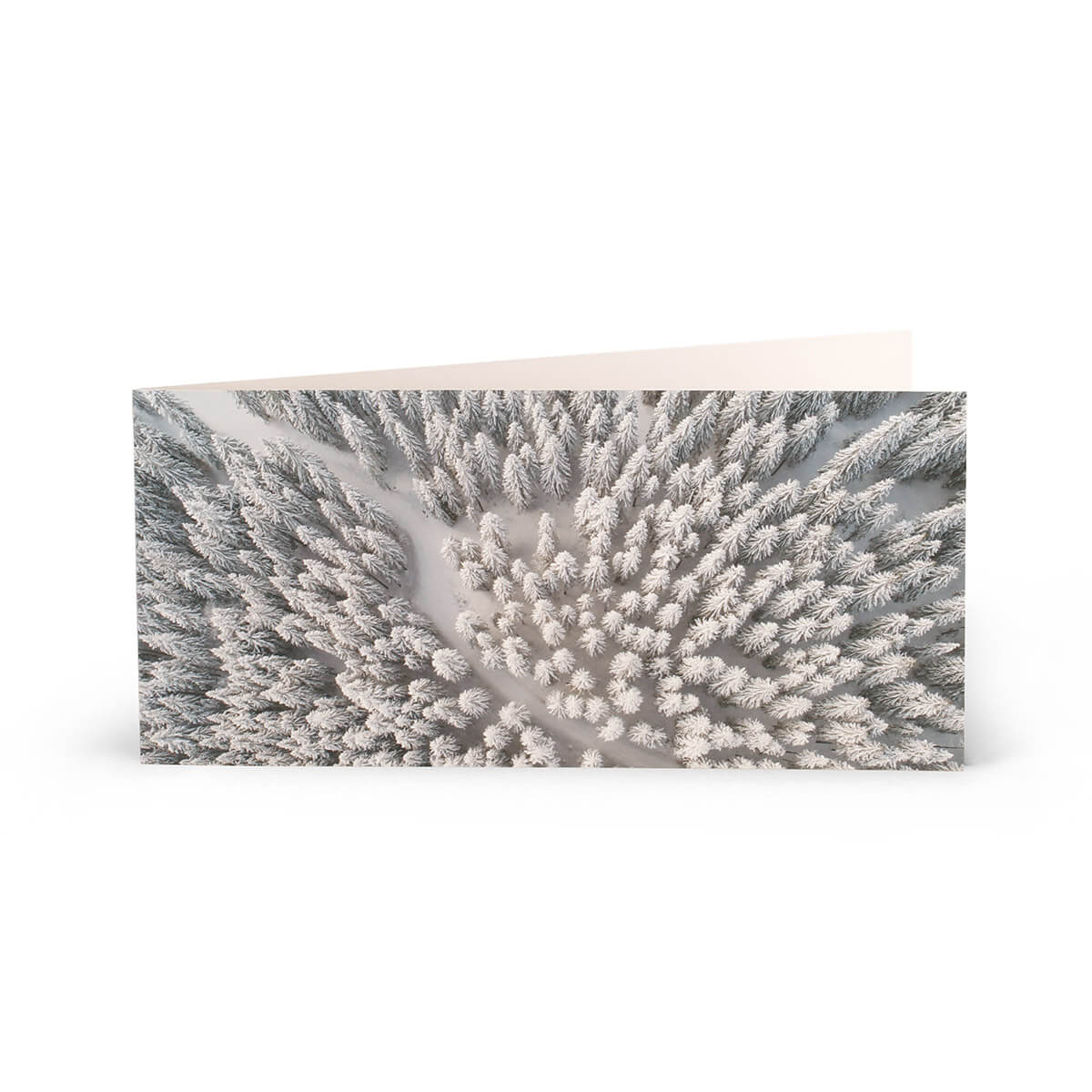 10128-00-C Brieflicht Winterwald