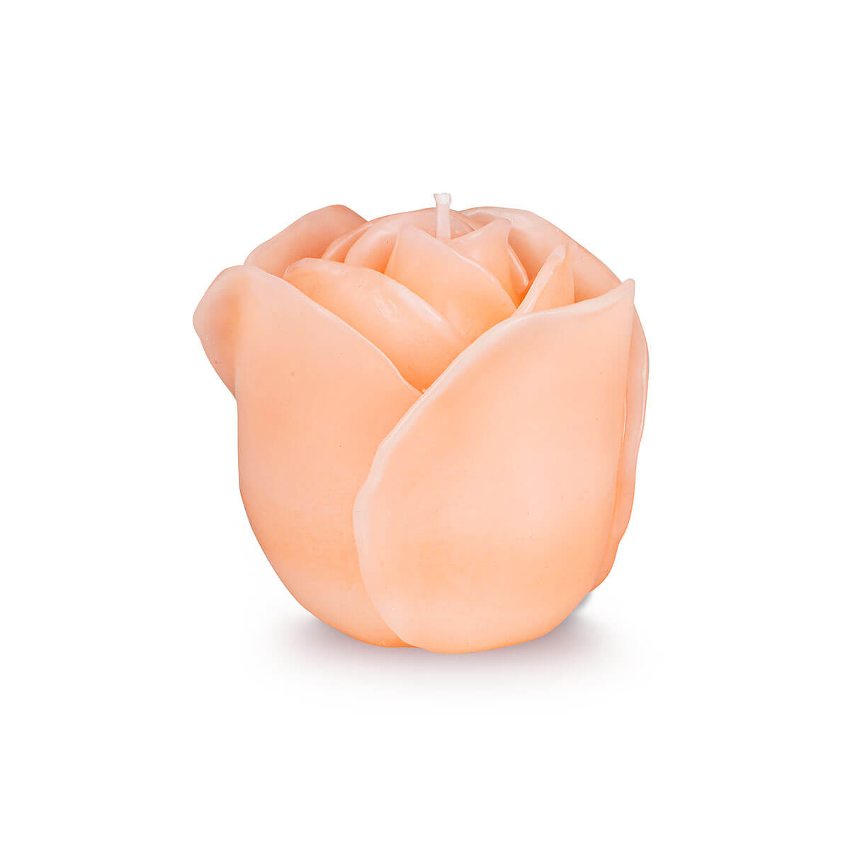 Rosenkerzen apricot Rosenkerzen apricot